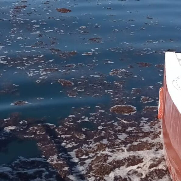 SERVICIOS DE LIMPIEZA DE AGUAS