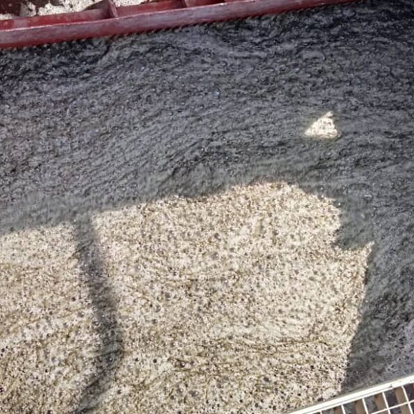 SERVICIOS DE LIMPIEZA DE AGUAS