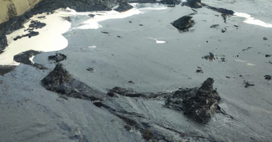 L'impacte dels vessaments de petroli en el medi ambient