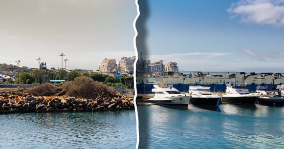 Qui vetlla per les aigües dels nostres ports?