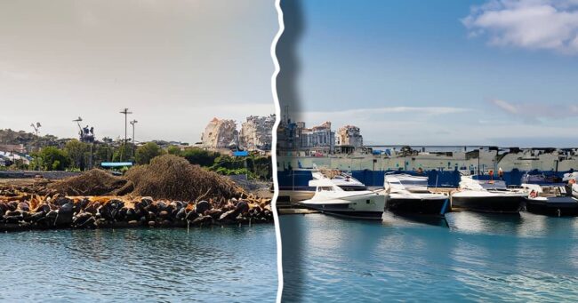 ¿Quién Vigila las Aguas de Nuestros Puertos?