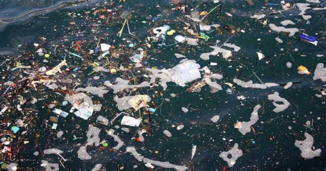 Acciones Sostenibles en la Costa del Sol