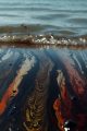 Impacto de Derrames de Aceite en Aguas Costeras, Ecolmare