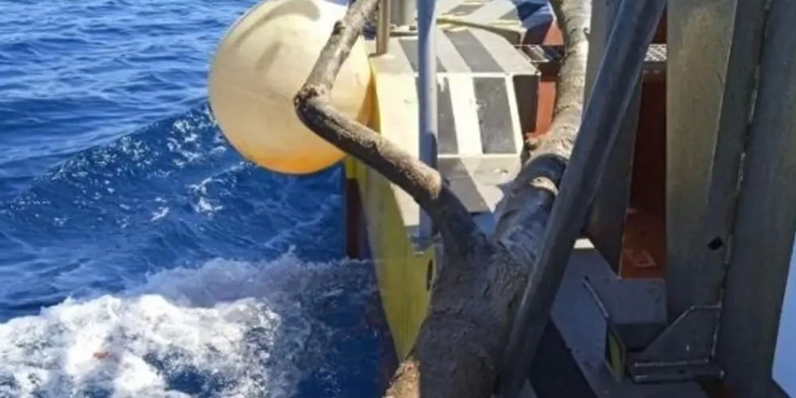 20260618091356 Baleares retira 7,6 toneladas de residuos del mar en un solo mes, Ecolmare