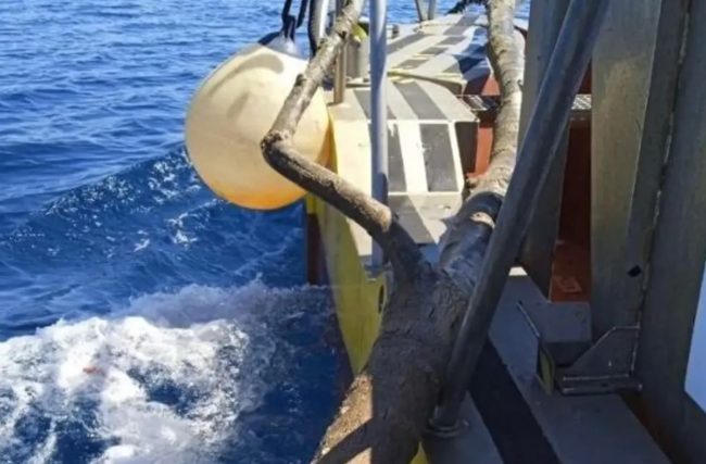 Baleares retira 7,6 toneladas de residuos del mar en un solo mes, Ecolmare