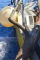 Baleares retira 7,6 toneladas de residuos del mar en un solo mes, Ecolmare