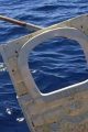 Casi dos toneladas de residuos retiradas del mar en Ibiza y Formentera, Ecolmare