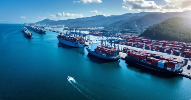 Impacto De Los Residuos Plasticos En La Vida Marina Y Como Combatirlo